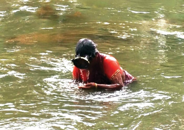 Feature Articles - Star of Mysore